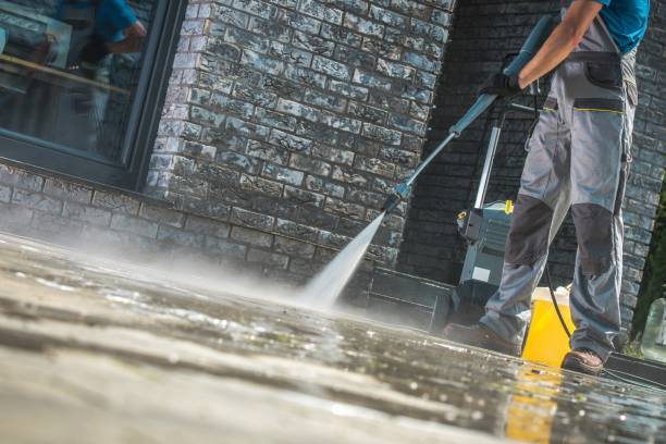 Best Roof Cleaning and Mildew Removal in Cullowhee, NC